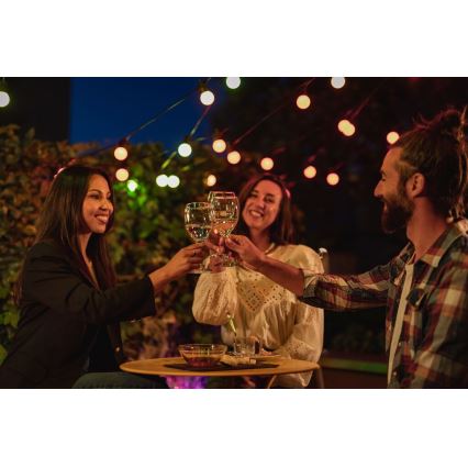 Twinkly - LED RGB Димируем екстериорен декоративни лампички FESTOON 20xLED 14 м IP44 Wi-Fi