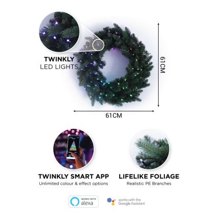 Twinkly - LED RGB Димируем Коледен венец PRE-LIT WREATH 50xLED Ø 61 см Wi-Fi