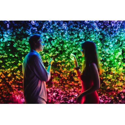 Twinkly - LED RGBW Димируем екстериорен коледни лампички STRINGS 250xLED 23,5 м IP44 Wi-Fi