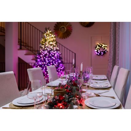 Twinkly - LED RGBW Димируем екстериорен коледни лампички STRINGS 250xLED 23,5 м IP44 Wi-Fi