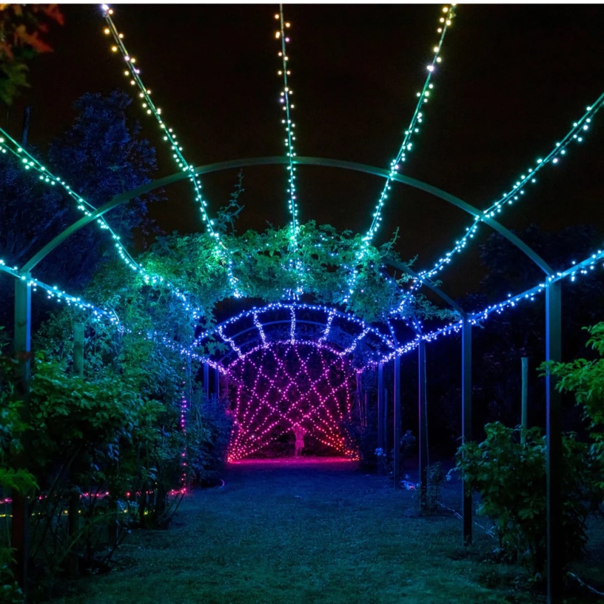 Twinkly - LED RGBW Димируем екстериорен коледни лампички STRINGS 250xLED 23,5 м IP44 Wi-Fi