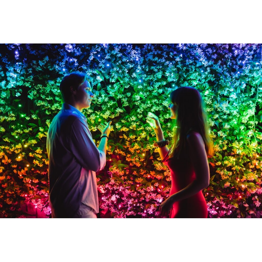 Twinkly - LED RGBW Димируем екстериорен коледни лампички STRINGS 600xLED 51,5 м IP44 Wi-Fi