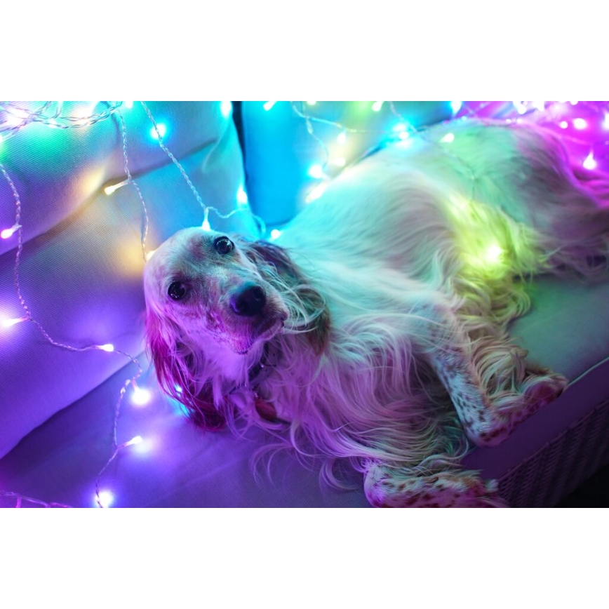 Twinkly - LED RGBW Димируем екстериорен Коледна завеса CURTAIN 210xLED 6,1 м IP44 Wi-Fi