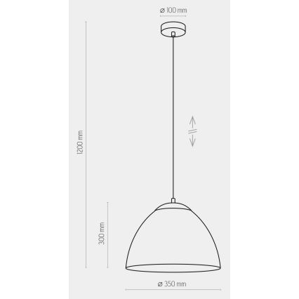 Висящ полилей FARO 1xE27/60W/230V черен