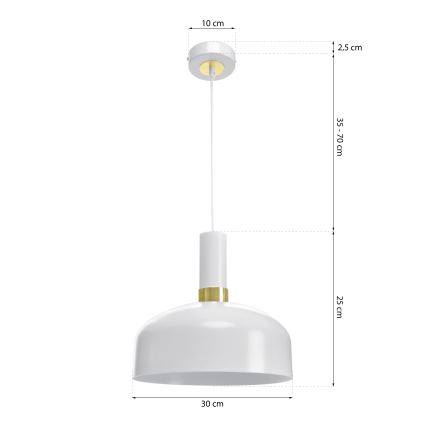 Висящ полилей MALMO 1xE27/60W/230V
