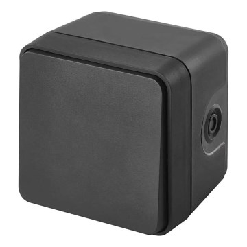 Влагозащитен домашен превключвател за променлив ток 250 V/10 A (IP55)