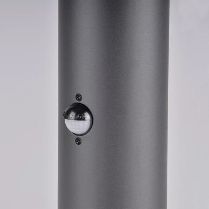 Външна лампа с датчик DALLAS 1xE27/12W/230V IP44 антрацит