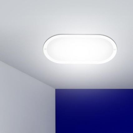 Външна LED лампа за стена LED/8W/230V IP54 4000K