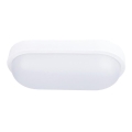 Външно LED осветление за таван LED/20W/230V IP54