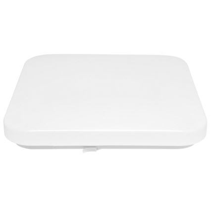Външно LED осветление за таван LUKA LED/42W/230V IP44