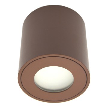 Външно спот осветително тяло FARA 1xGU10/30W/230V IP54 кафяво