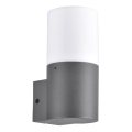 Външно стенна лампа DALLAS 1xE27/12W/230V IP44 антрацит