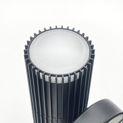 Външно стенно насочваемо осветително тяло LANTHEA 2xGU10/11W/230V IP44 черно