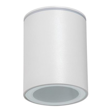 Външно точково осветително тяло AQILO 1xGU10/7W/230V IP65 бяло