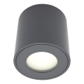 Външно точково осветително тяло FARA 1xGU10/30W/230V IP54 черно
