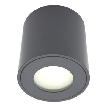 Външно точково осветително тяло FARA 1xGU10/30W/230V IP54 черно