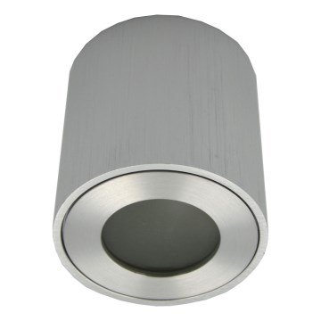 Външно точково осветително тяло FARA 1xGU10/30W/230V IP54 сребристо