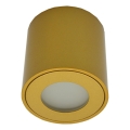 Външно точково осветително тяло FARA 1xGU10/30W/230V IP54 златно