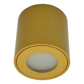 Външно точково осветително тяло FARA 1xGU10/30W/230V IP54 златно
