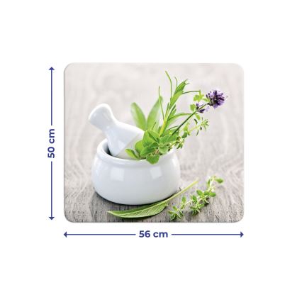 WENKO 2712940500 - Покривна плоча ABDECKPLATTE - за хранителни продукти 56x50 cm многоцветна/прозрачна