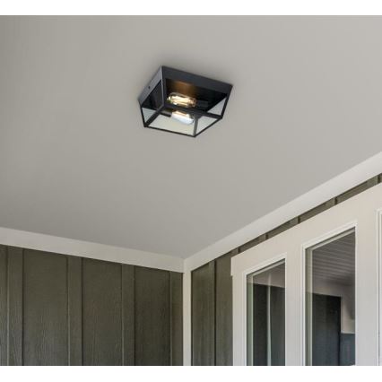 Westinghouse 61219 - Екстериорна лампа за таван PETERSON 2xE27/40W/230V IP44