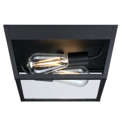 Westinghouse 61219 - Екстериорна лампа за таван PETERSON 2xE27/40W/230V IP44