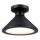 Westinghouse 61238 - Екстериорна лампа за таван WALTER 1xE27/60W/230V IP44