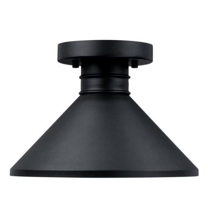 Westinghouse 61238 - Екстериорна лампа за таван WALTER 1xE27/60W/230V IP44