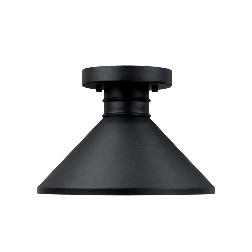 Westinghouse 61238 - Екстериорна лампа за таван WALTER 1xE27/60W/230V IP44