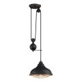 Westinghouse 61249 - Пендел CHAVES 1xE27/60W/230V