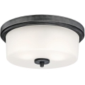 Westinghouse 6325140 - Плафон CEDRIC 2xE27/40W/230V Ø 33 см