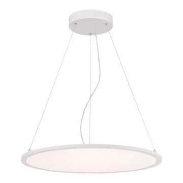 Westinghouse 65775 - LED Димируем пендел ATLER LED/40W/230V 60 cm