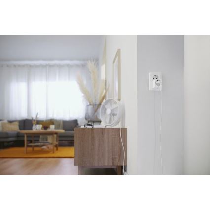 WiZ - Смарт контакт E 2300W + електромер Wi-Fi
