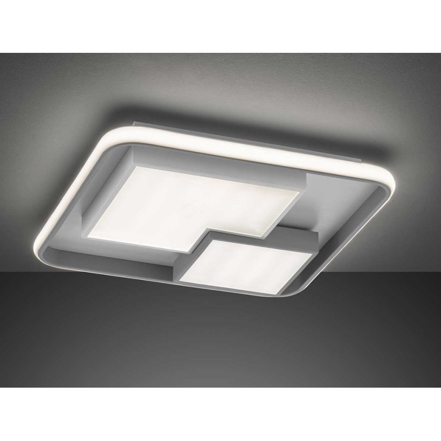Wofi 11610 - LED Димируем плафон FELA LED/40,5W/230V 3000K