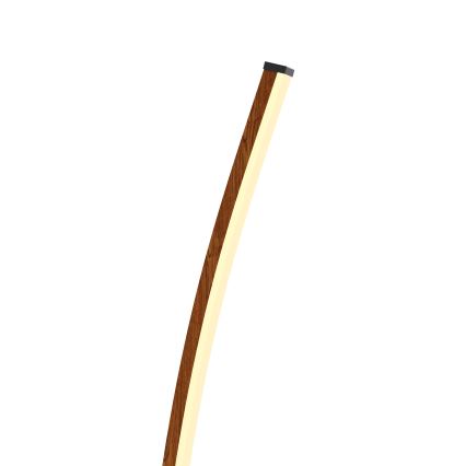 Wofi 3020-106 - LED Димируем лампион BOLOGNA LED/21W/230V