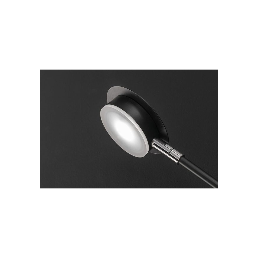 Wofi 446604109000 - LED Аплик BELIZE 4xLED/5W/230V 3000K черен