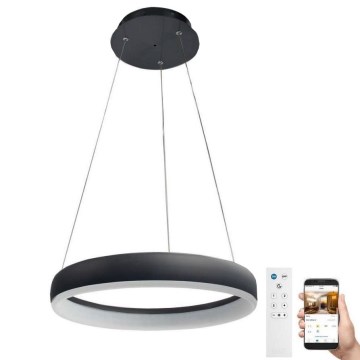 Wofi 6481.01.10.8401 - LED Димируем пендел CLINT LED/24W/230V 2800-6500K + дистанционно
