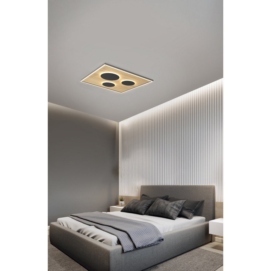Wofi 9012-306L - LED Димируем плафон DIJON LED/40W/230V