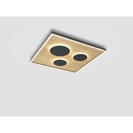 Wofi 9012-306L - LED Димируем плафон DIJON LED/40W/230V