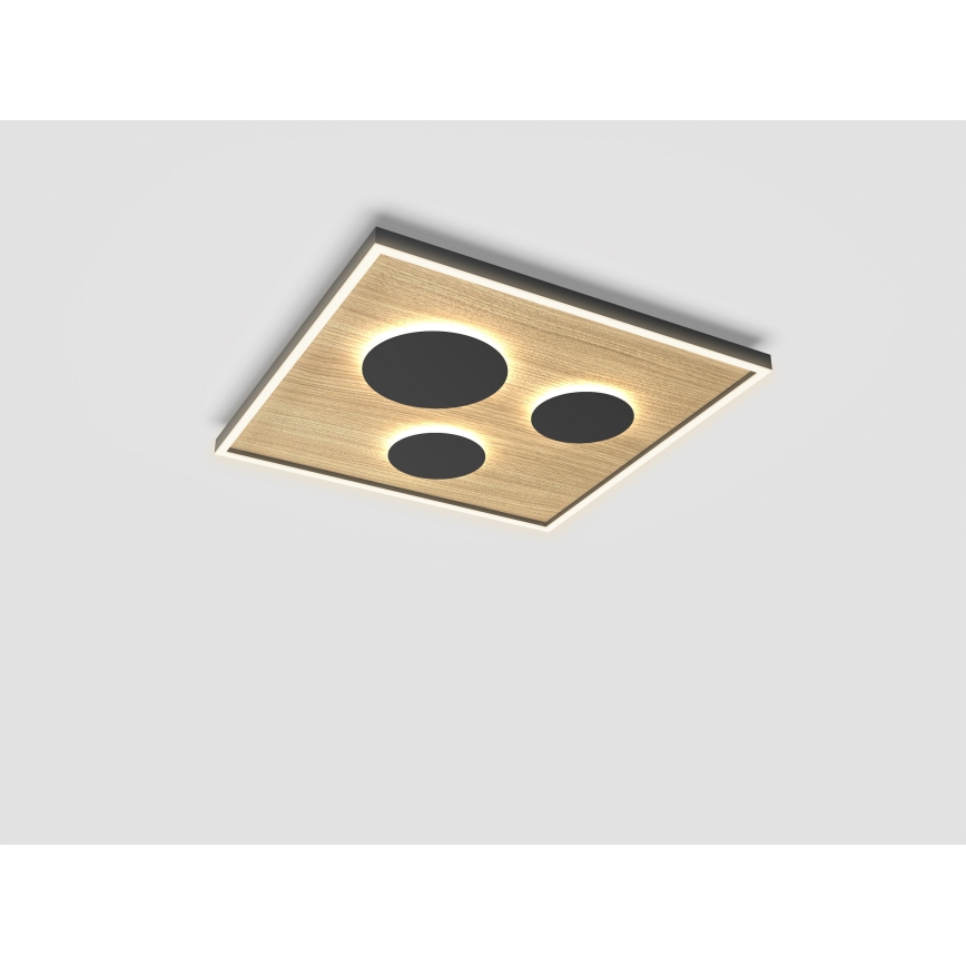 Wofi 9012-306L - LED Димируем плафон DIJON LED/40W/230V