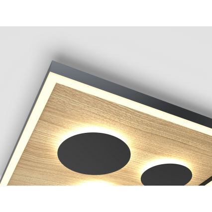 Wofi 9012-306L - LED Димируем плафон DIJON LED/40W/230V