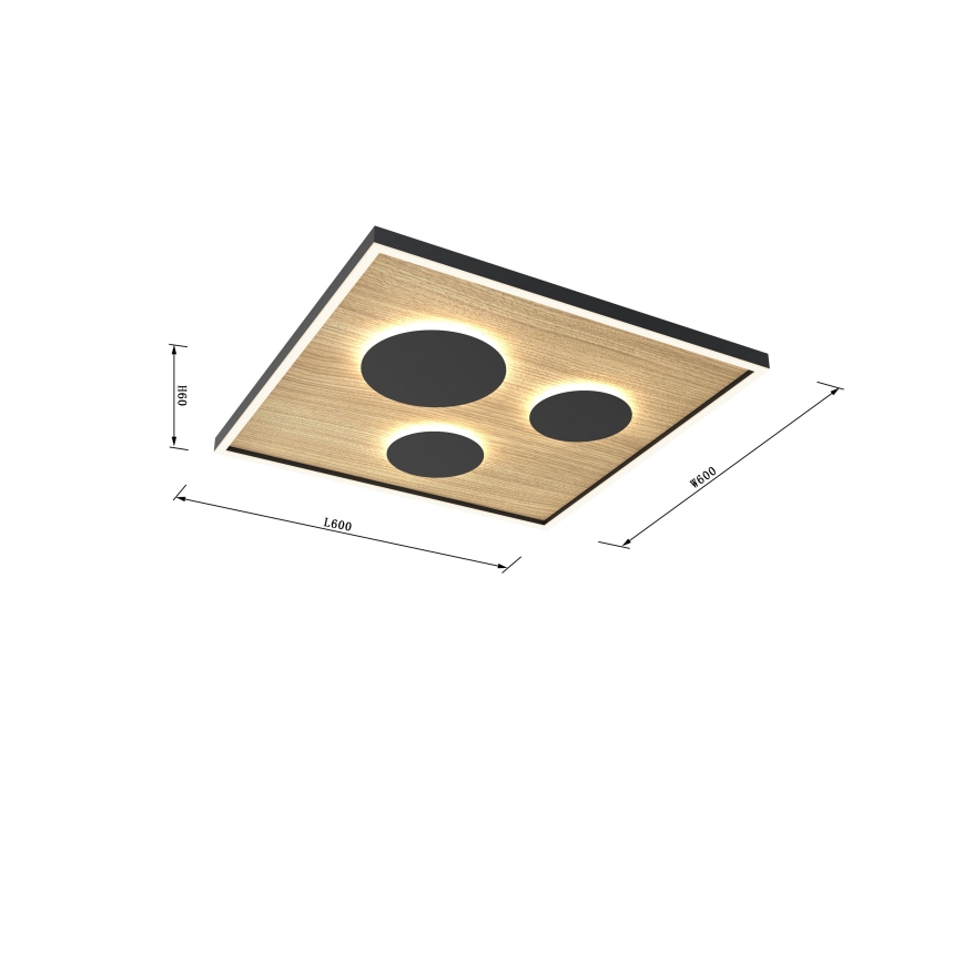 Wofi 9012-306L - LED Димируем плафон DIJON LED/40W/230V