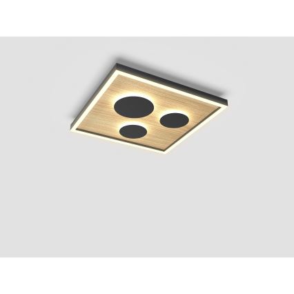Wofi 9012-306S - LED Димируем плафон DIJON LED/26W/230V