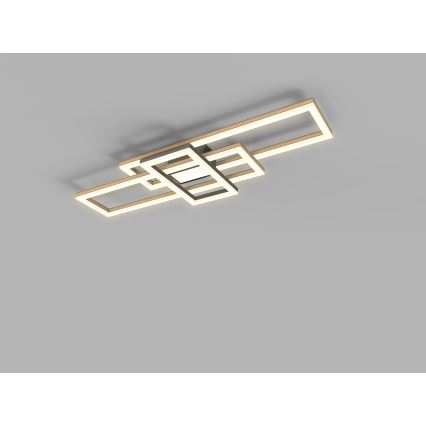 Wofi 9022-306L - LED Димируем плафон MATERA LED/57W/230V