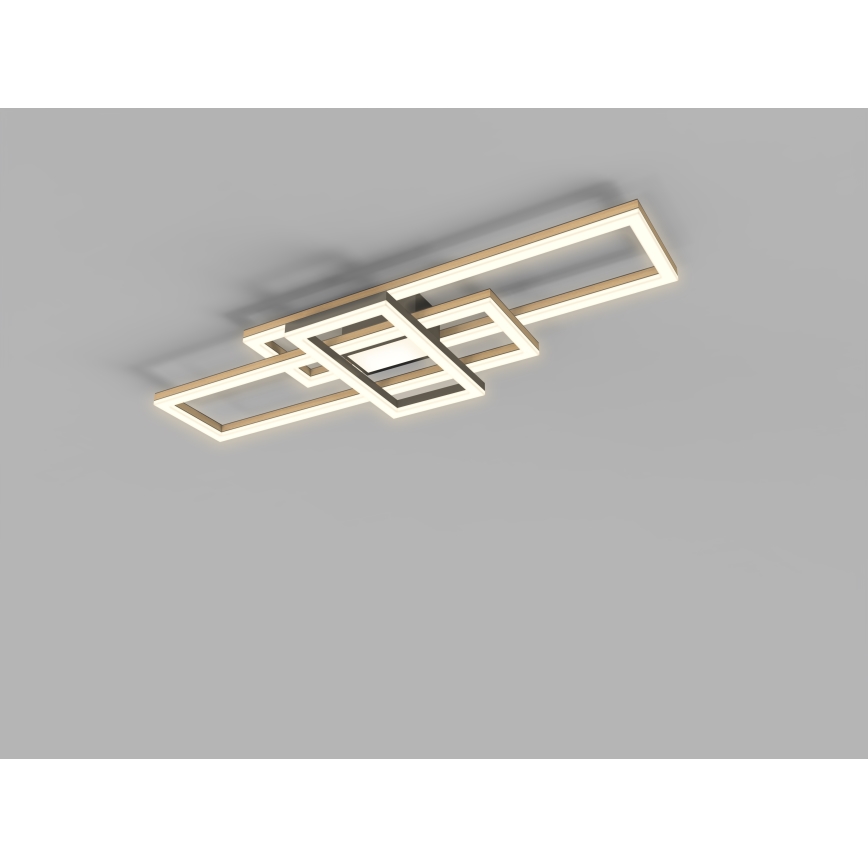 Wofi 9022-306L - LED Димируем плафон MATERA LED/57W/230V