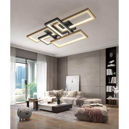 Wofi 9022-506 - Димируемо LED таванно осветително тяло MATERA LED/60W/230V