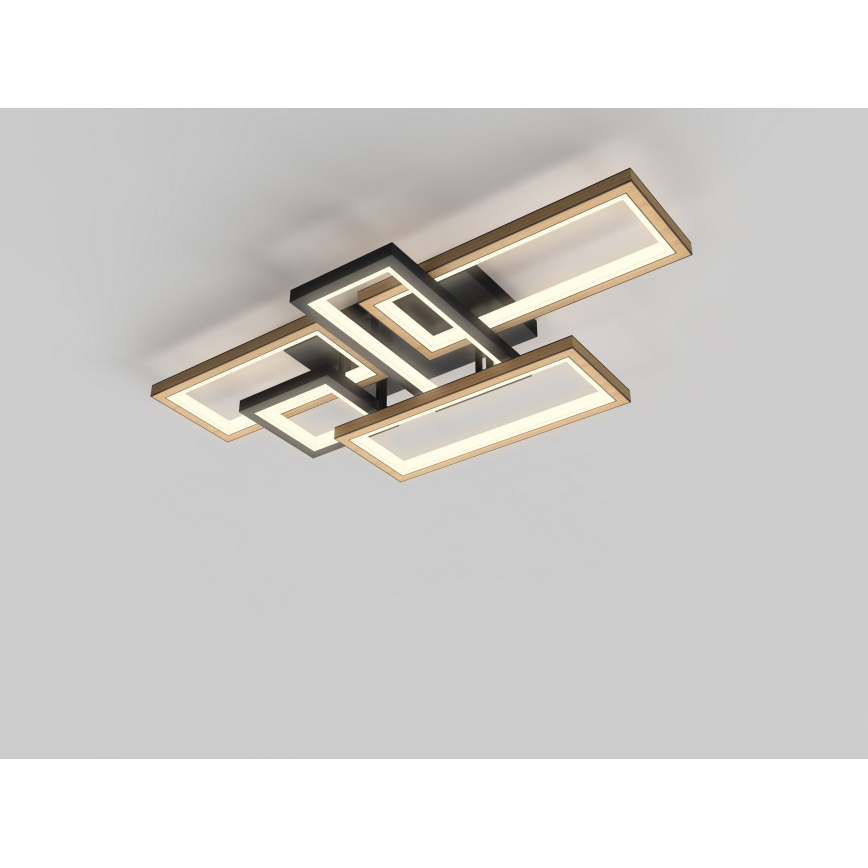 Wofi 9022-506 - Димируемо LED таванно осветително тяло MATERA LED/60W/230V