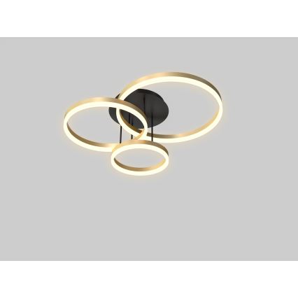 Wofi 9049-401 - LED регулируема плафониера PERPIGNAN LED/51W/230V златисто