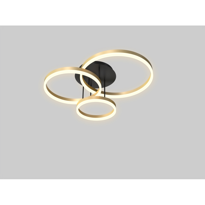 Wofi 9049-401 - LED регулируема плафониера PERPIGNAN LED/51W/230V златисто