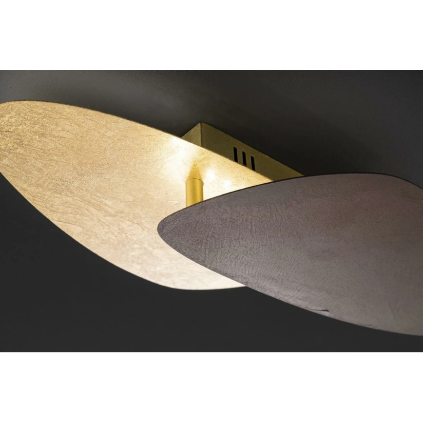 Wofi 9551.02.15.9420 - LED Плафон BELANA LED/12,5W/230V 3000K златист